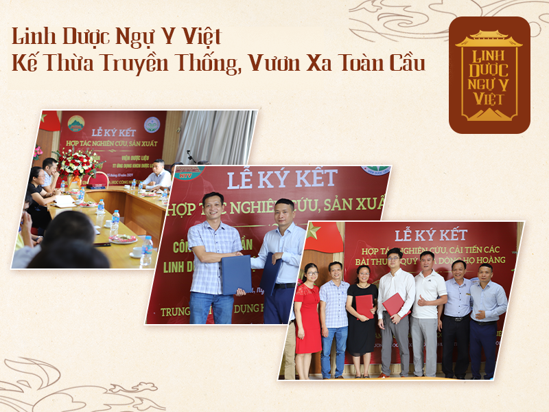 linh-duoc-ngu-y-viet-ke-thua-truyen-thong-vuon-xa-toan-cau