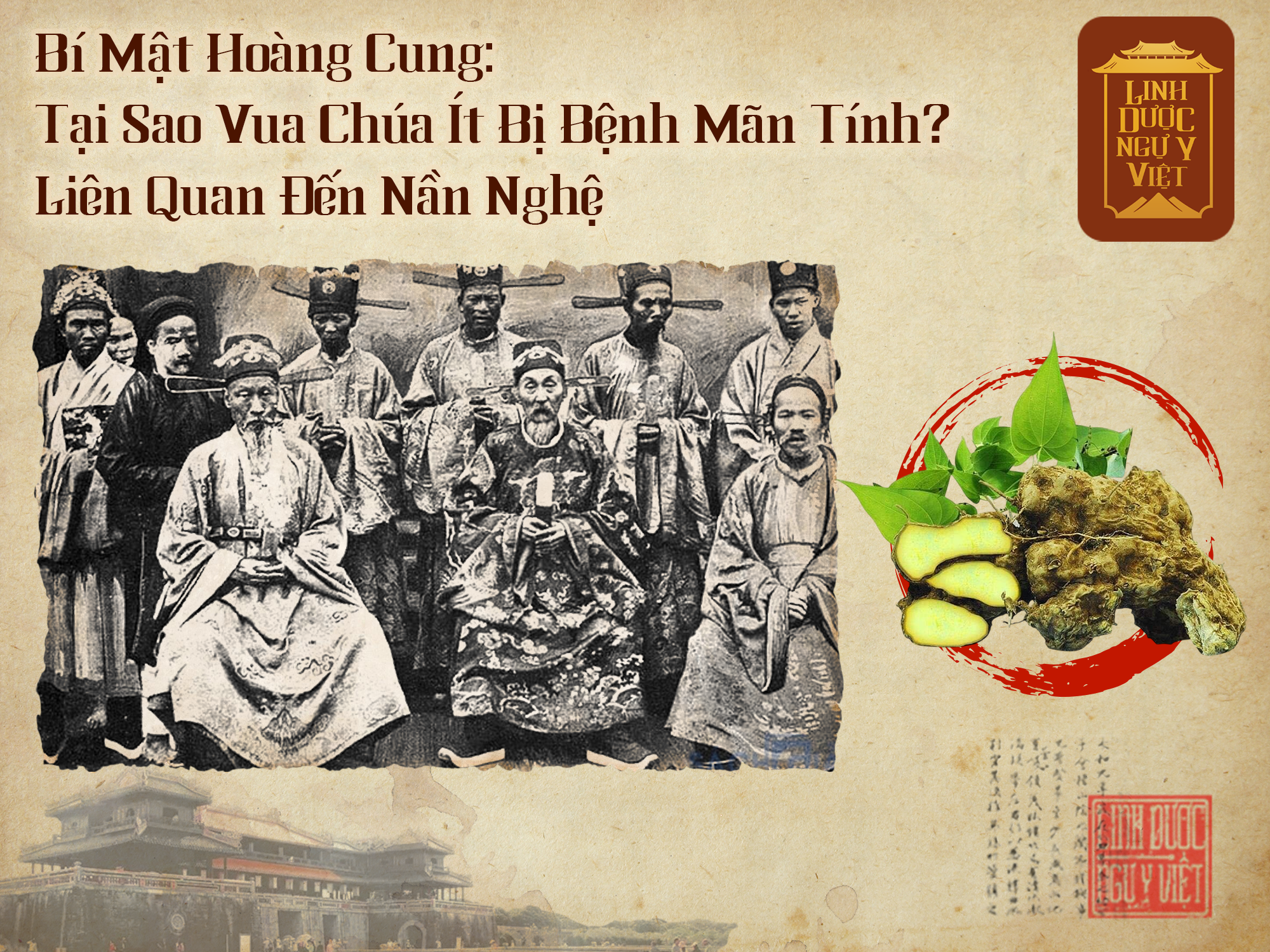 nan-nghe-hoang-cung-linh-duoc-ngu-y-viet