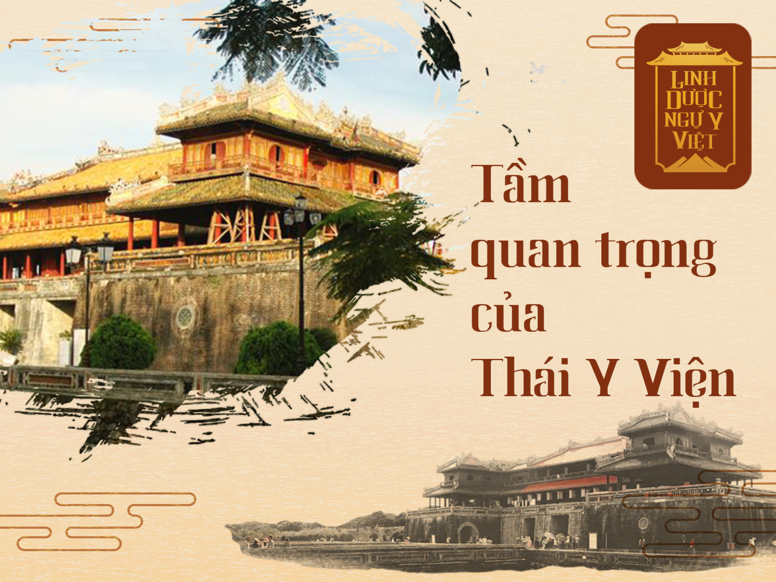 tam-quan-trong-cua-thai-y-vien-linh-duoc-ngu-y-viet