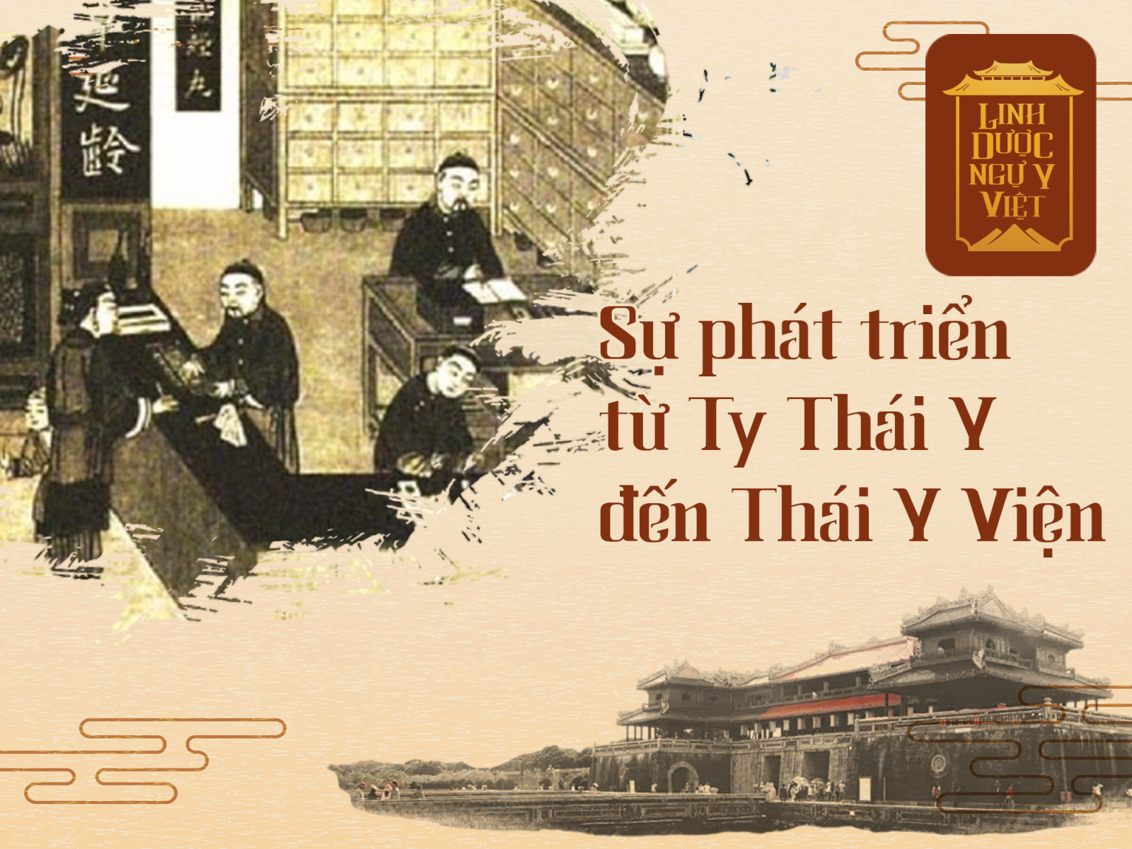 su-phat-trien-ty-thai-y-den-thai-y-vien-linh-duoc-ngu-y-viet