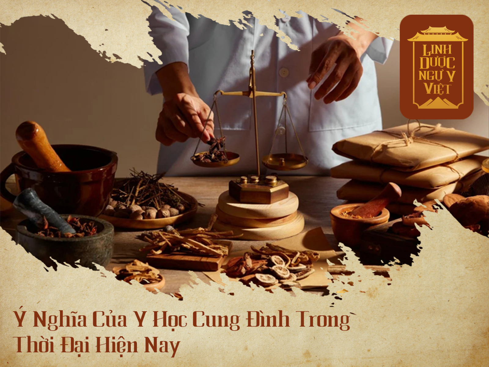 y-hoc-cung-dinh-trong-thoi-hien-dai-linh-duoc-ngu-y-viet