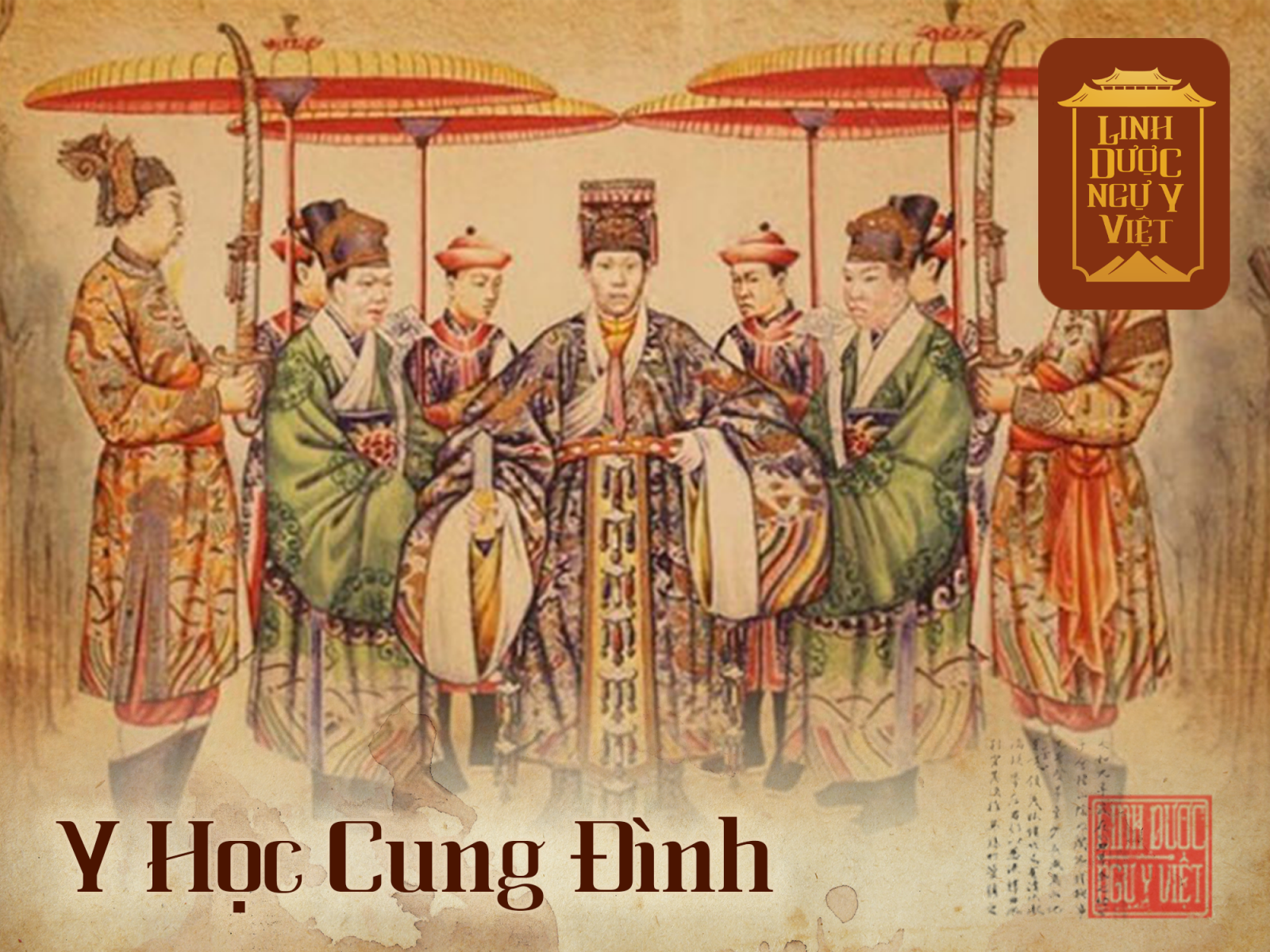 y-hoc-cung-dinh-linh-duoc-ngu-y-viet