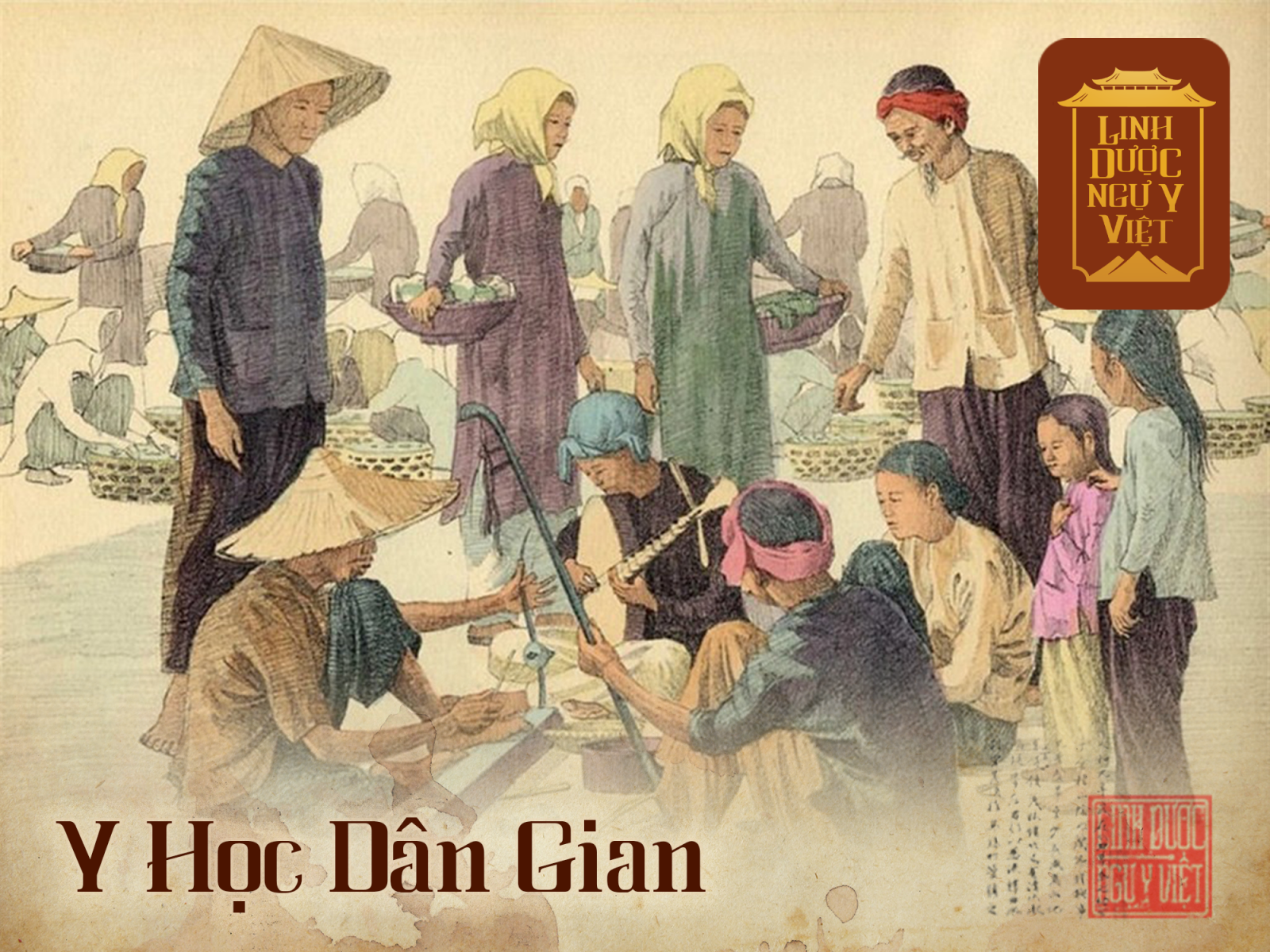 y-hoc-dan-gian-linh-duoc-ngu-y-viet