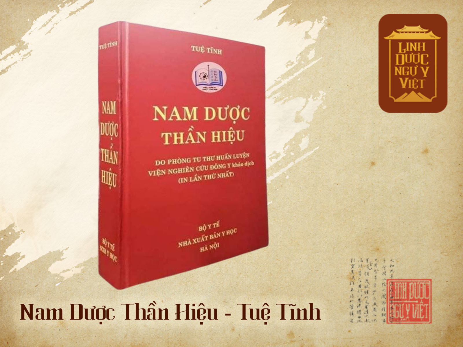 nam-duoc-than-hieu-tue-tinh