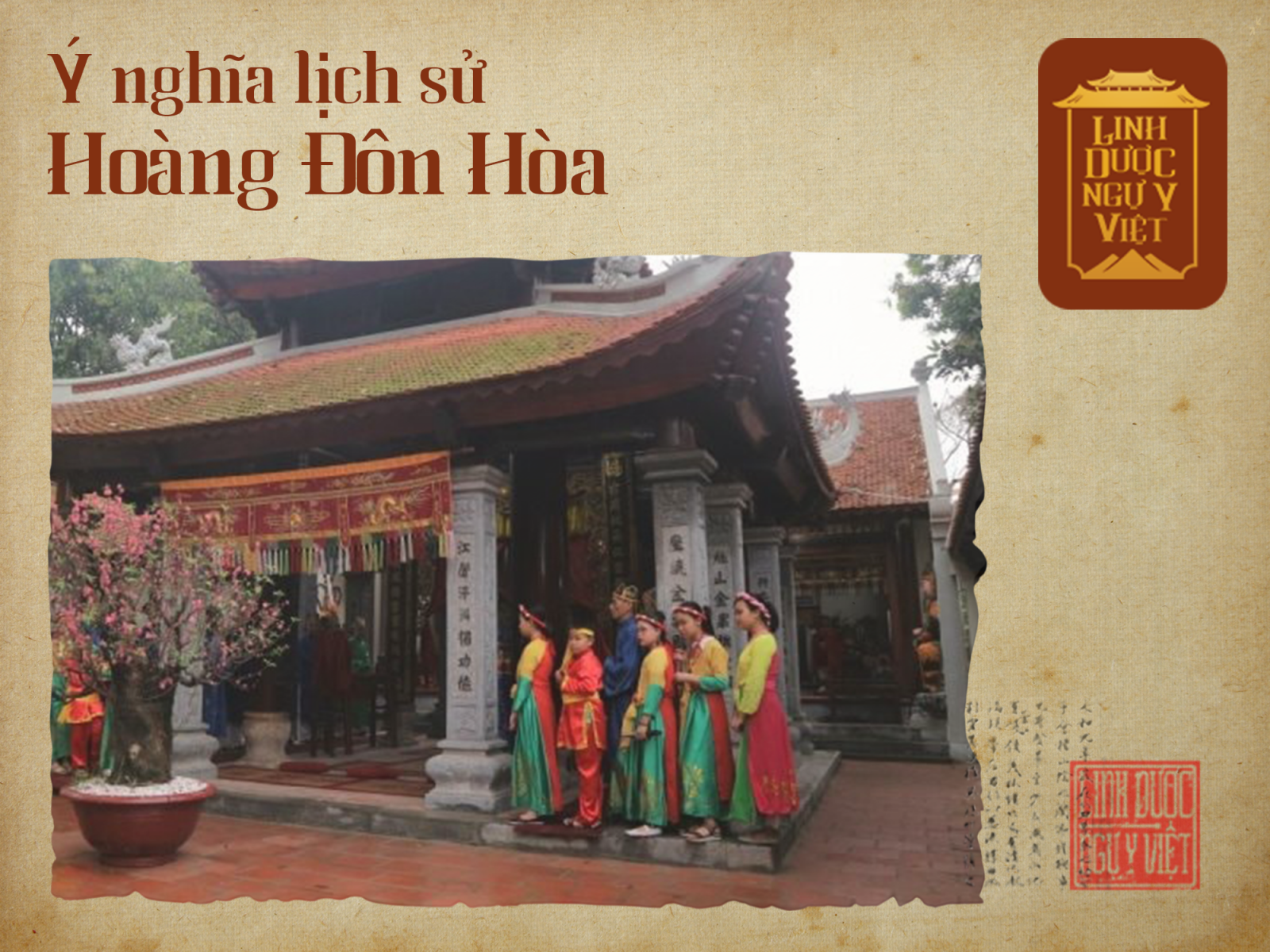 y-nghia-lich-su-hoang-don-hoa-linh-duoc-ngu-y-viet