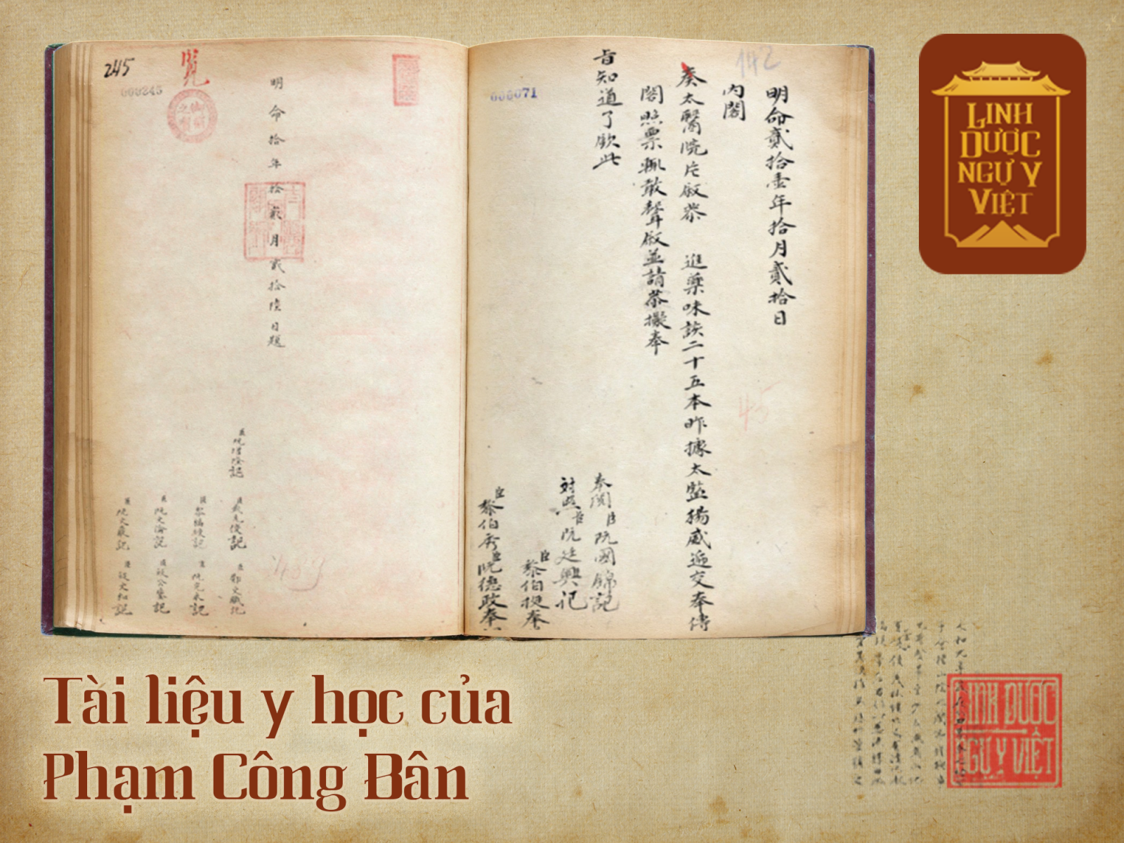 tai-lieu-y-hoc-cua-pham-cong-ban-linh-duoc-ngu-y-viet