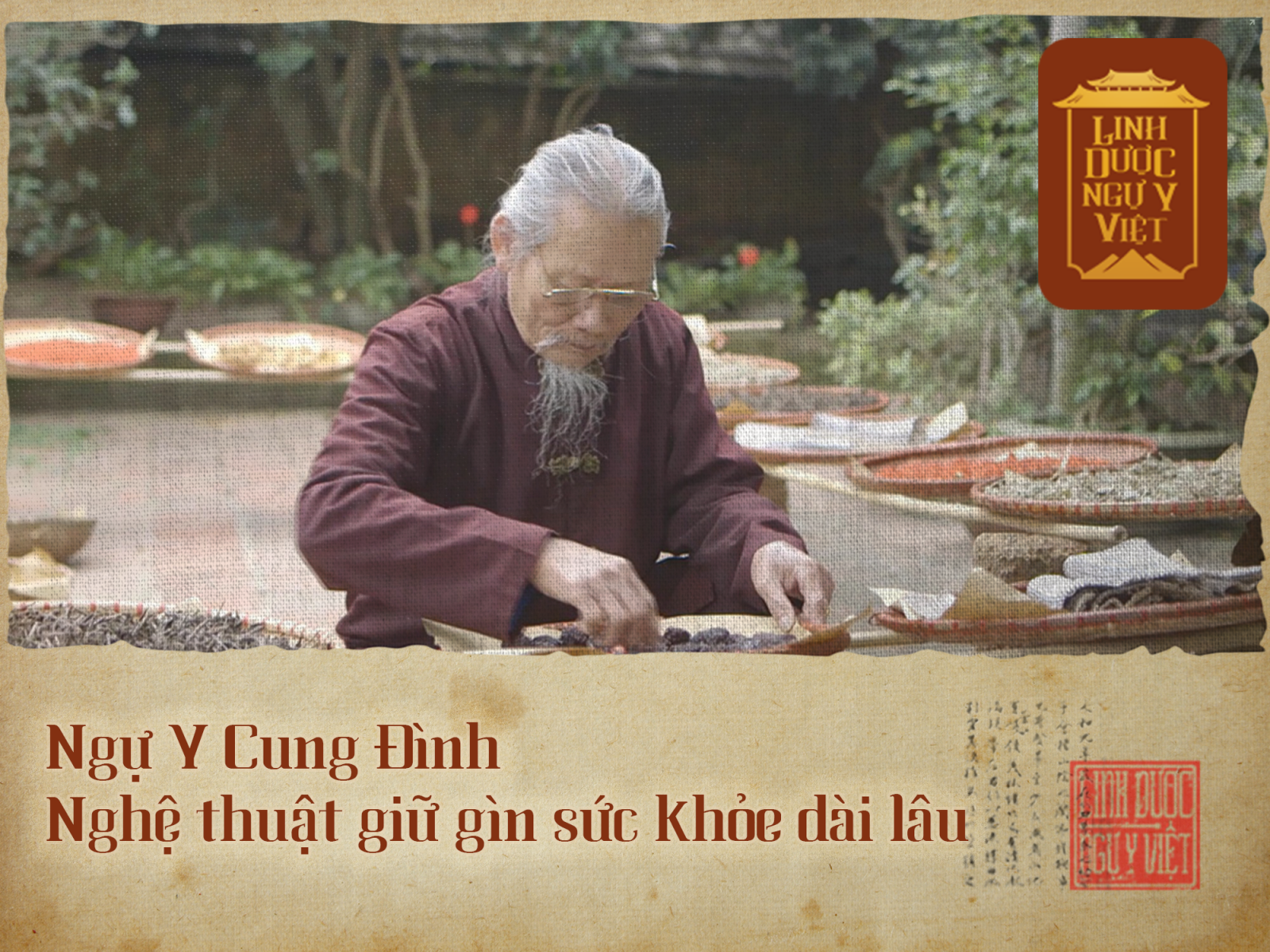 ngu-y-cung-dinh-nghe-thuat-giu-gin-suc-khoe-dai-lau