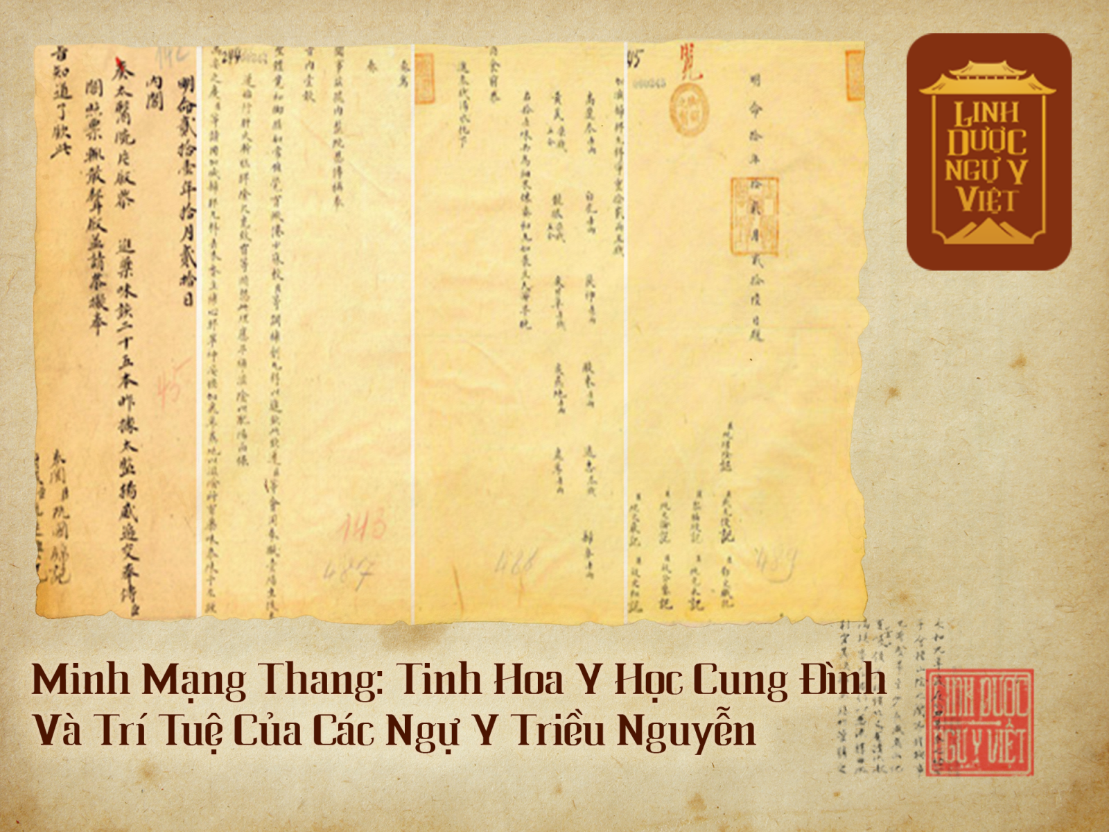 minh-mang-thang-tinh-hoa-y-hoc-cung-dinh